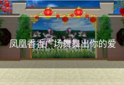 凤凰香香广场舞舞出你的爱