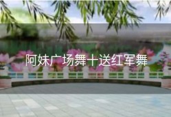 阿妹广场舞十送红军舞