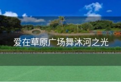 爱在草原广场舞沐河之光