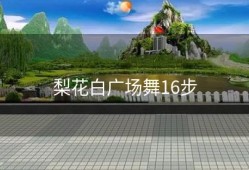 梨花白广场舞16步