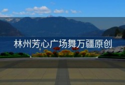 林州芳心广场舞万疆原创