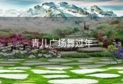 青儿广场舞过年