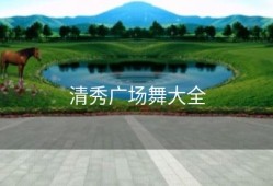 清秀广场舞大全