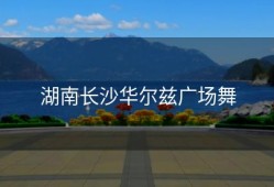 湖南长沙华尔兹广场舞