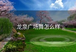 龙泉广场舞怎么样