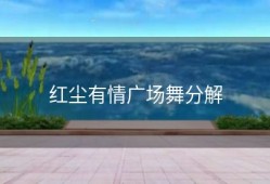 红尘有情广场舞分解