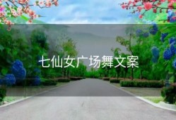 七仙女广场舞文案