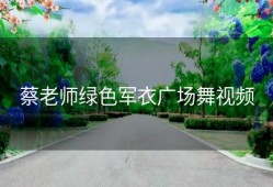 蔡老师绿色军衣广场舞视频