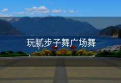 玩腻步子舞广场舞