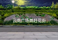 云南广场舞赶花街