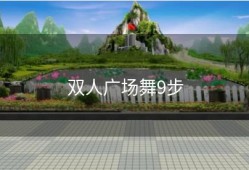 双人广场舞9步