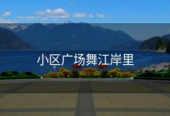 小区广场舞江岸里