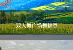 双人舞广场舞糖豆