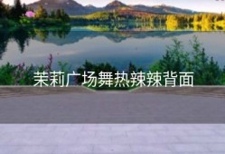 茉莉广场舞热辣辣背面