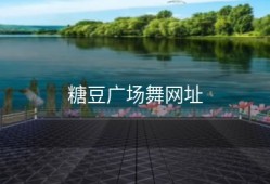 糖豆广场舞网址