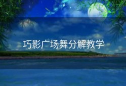 巧影广场舞分解教学