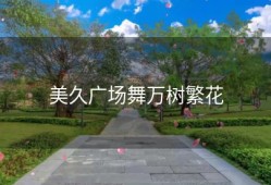美久广场舞万树繁花