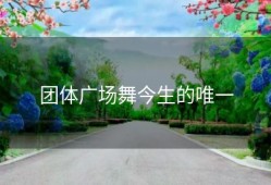 团体广场舞今生的唯一