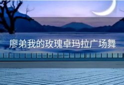 廖弟我的玫瑰卓玛拉广场舞