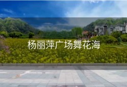 杨丽萍广场舞花海