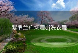 紫罗兰广场舞dj洗衣舞