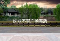 妹妹不哭广场舞版