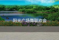 阳光广场舞联欢会