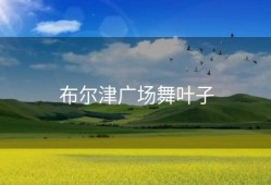 布尔津广场舞叶子