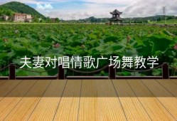 夫妻对唱情歌广场舞教学