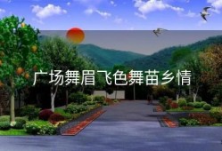 广场舞眉飞色舞苗乡情