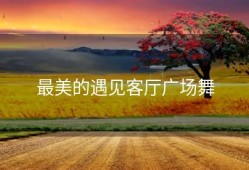 最美的遇见客厅广场舞
