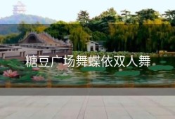 糖豆广场舞蝶依双人舞