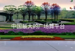 中国最大的广场舞平台