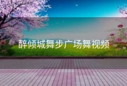 醉倾城舞步广场舞视频