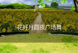 花好月圆夜广场舞