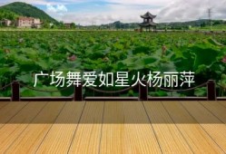 广场舞爱如星火杨丽萍