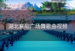 湖北襄阳广场舞歌曲视频