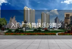 入门广场舞快乐的舞步