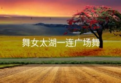舞女太湖一连广场舞