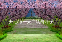 开心每一天广场舞叶子