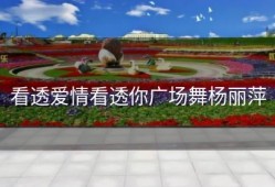 看透爱情看透你广场舞杨丽萍