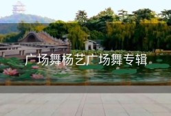 广场舞杨艺广场舞专辑