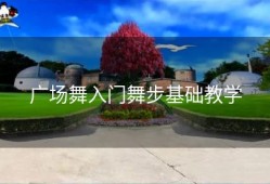 广场舞入门舞步基础教学