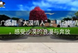 广场舞“大漠情人”：舞动热情，感受沙漠的浪漫与奔放