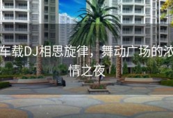 车载DJ相思旋律，舞动广场的浓情之夜