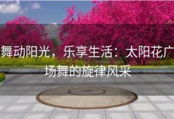 舞动阳光，乐享生活：太阳花广场舞的旋律风采