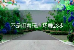 不是闹着玩广场舞28步