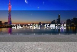 苗族小孩跳广场舞视频