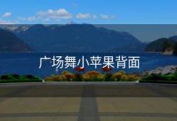广场舞小苹果背面