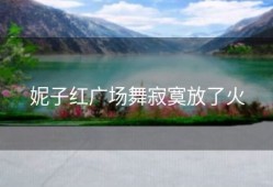 妮子红广场舞寂寞放了火